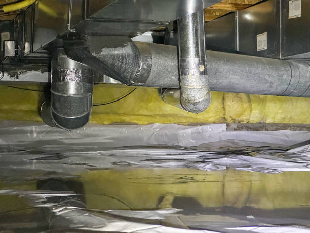 Best Flood damage cleanup  in Steep Falls, ME